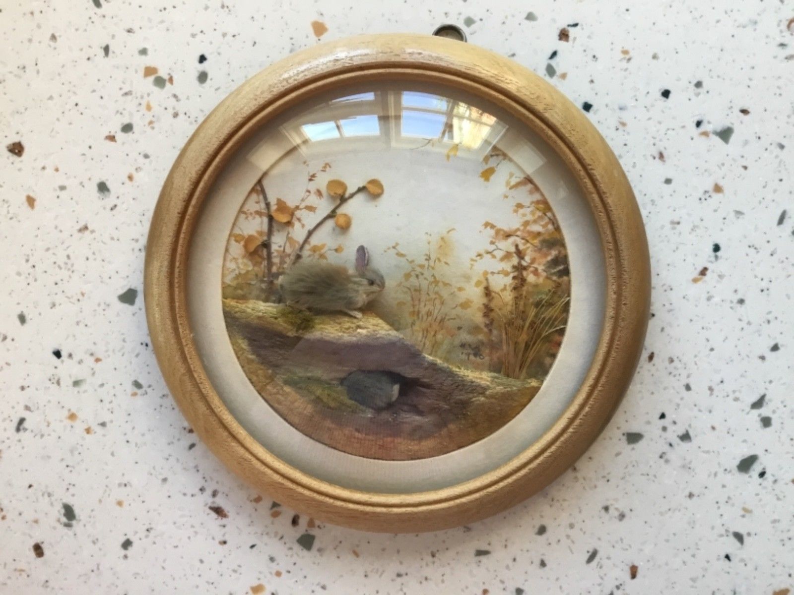 Rabbits (Version 2) (5-inch)